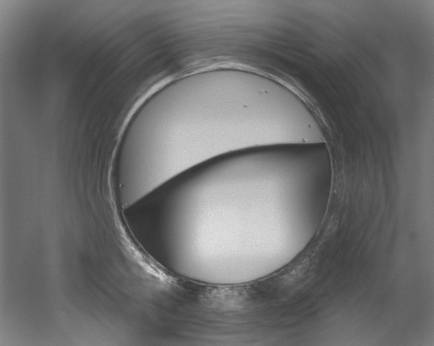 X0000052590806200507010938