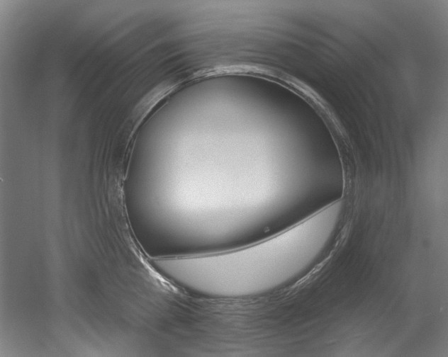 X0000052590809200507010938