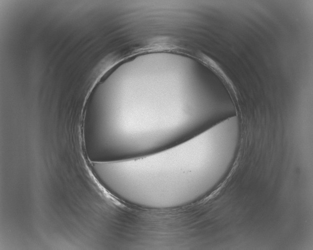 X0000052590810200507010938