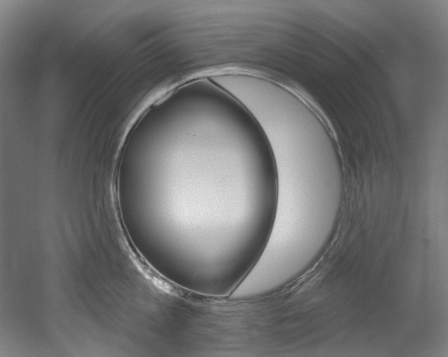 X0000052590813200507010938