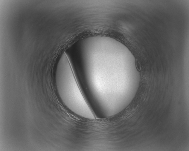 X0000052590817200507010937