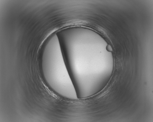 X0000052590827200507010937