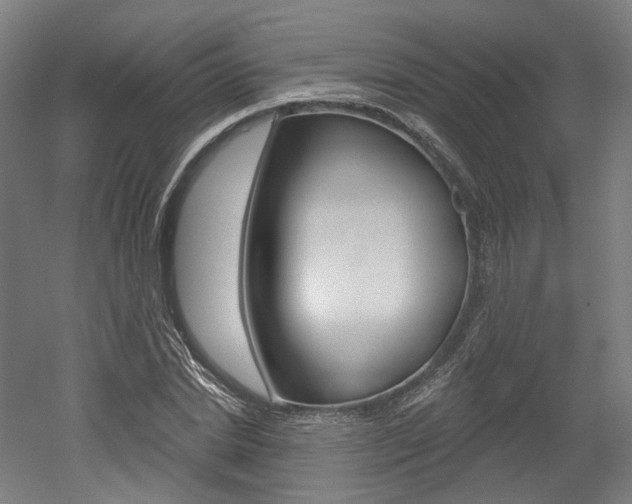 X0000052590830200507010937