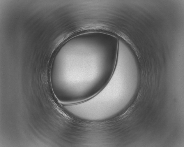 X0000052590834200507010937