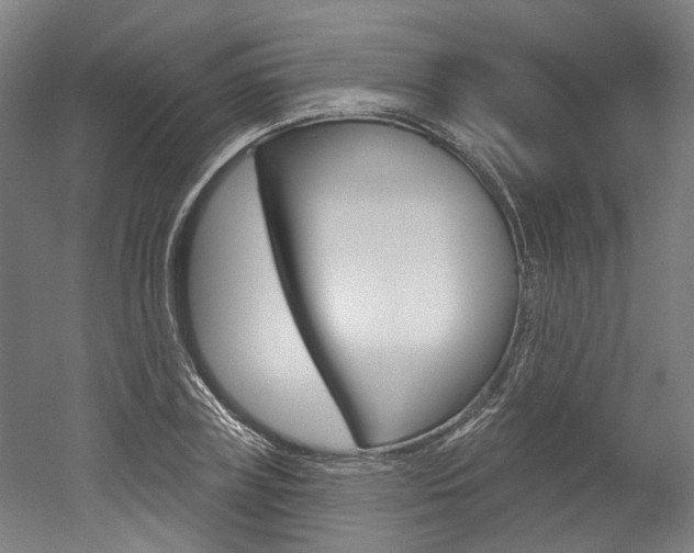 X0000052590835200507010937