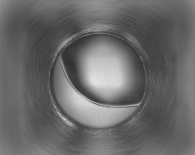 X0000052590842200507010937
