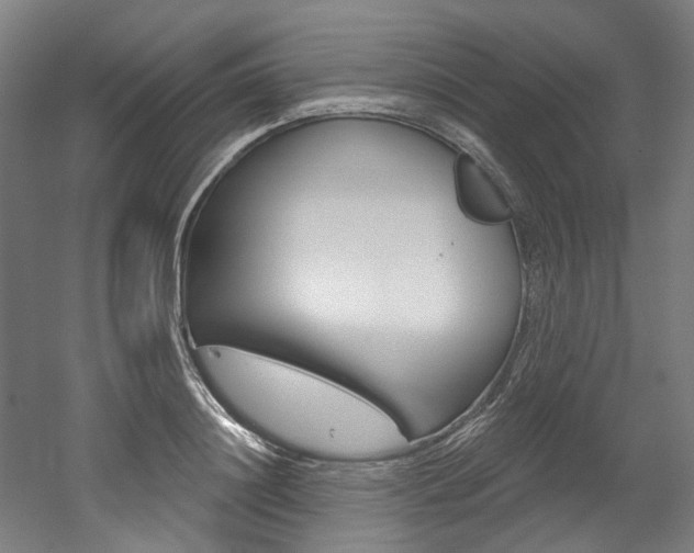 X0000052590844200507010937