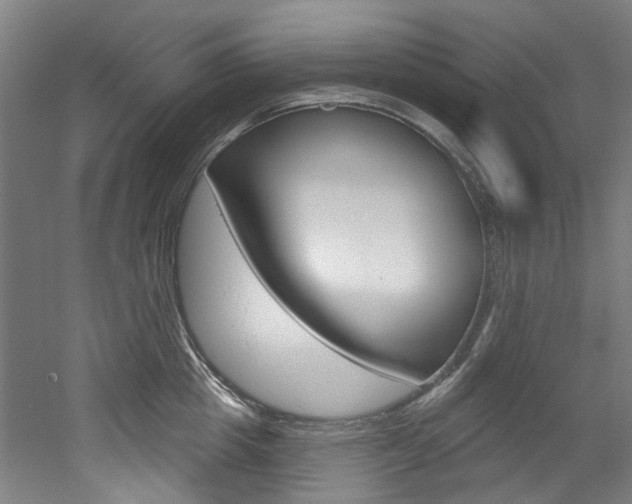 X0000052590857200507010938
