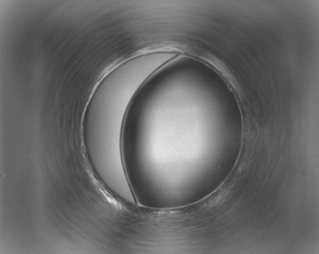 X0000052590858200507010938
