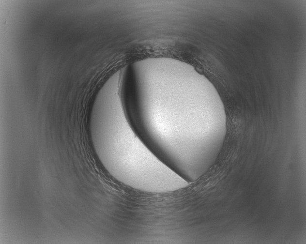 X0000052590865200507010937