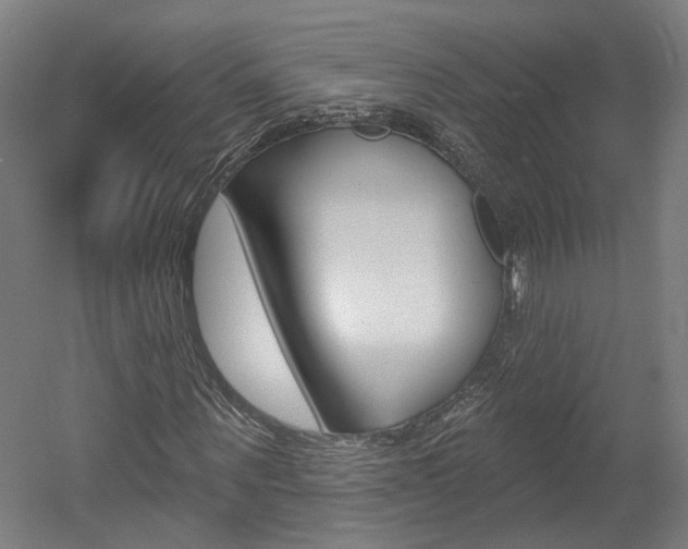 X0000052590867200507010937