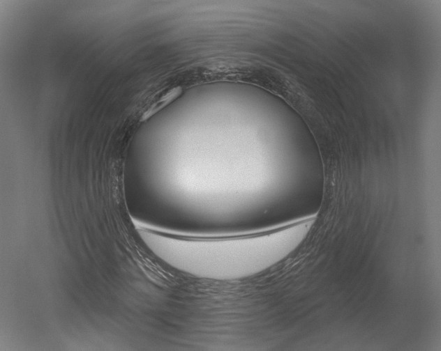 X0000052590868200507010937