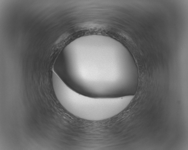 X0000052590869200507010937