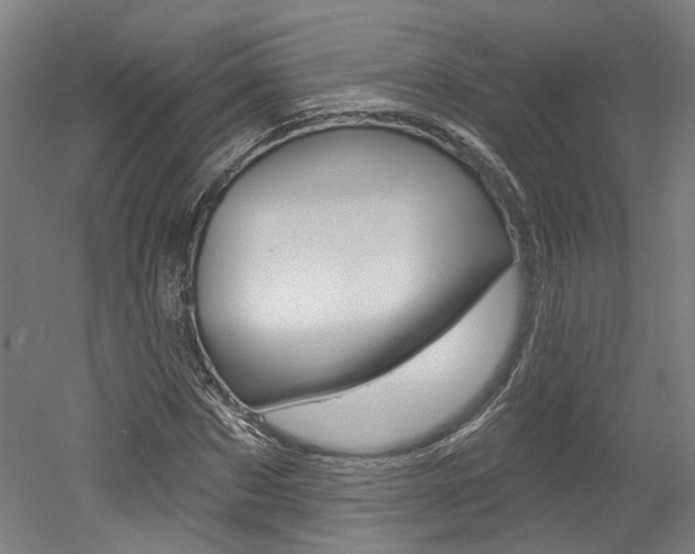 X0000052590873200507010937