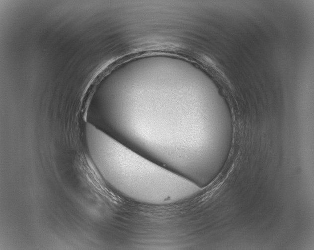 X0000052590875200507010937