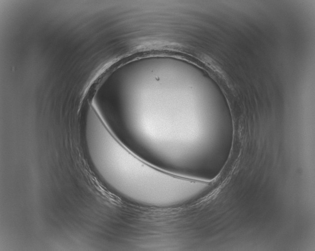 X0000052590877200507010937