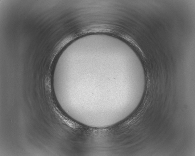 X0000052590882200507010937