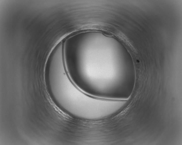 X0000052590884200507010937