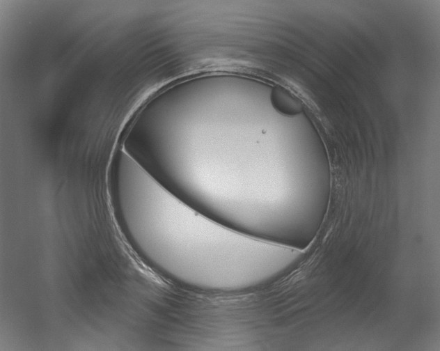 X0000052590891200507010936