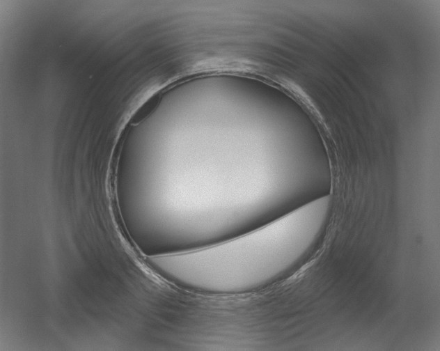 X0000052590893200507010936