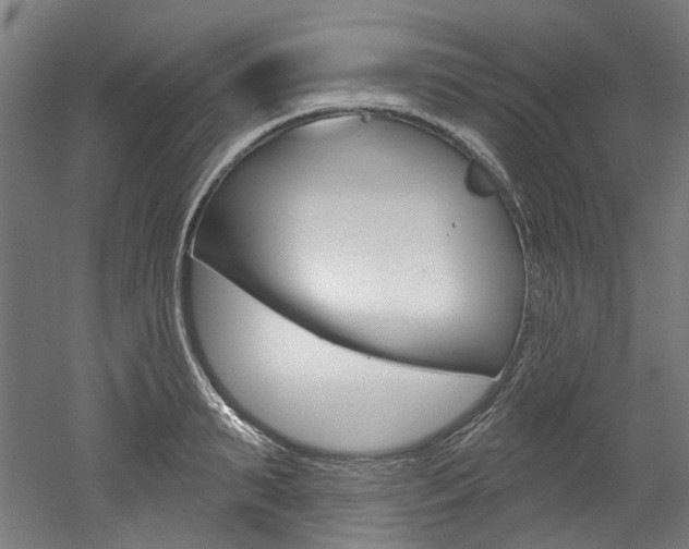 X0000052590895200507010936