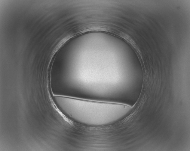 X0000052590898200507010936