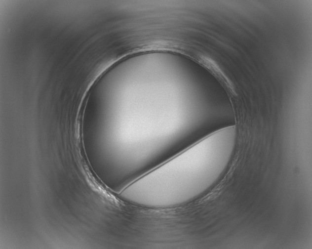X0000052590900200507010936
