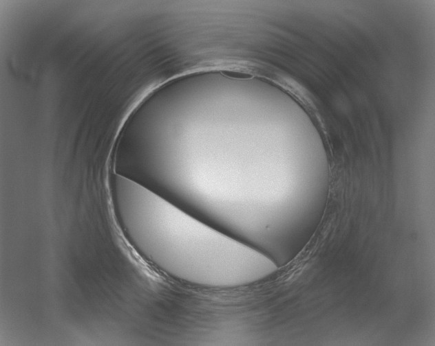 X0000052590907200507010936