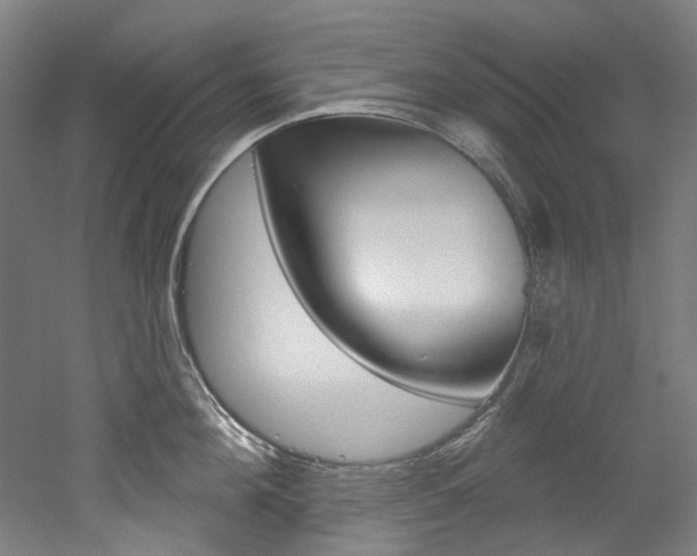 X0000052590908200507010936