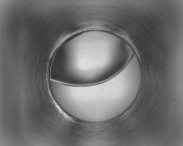 X0000052590910200507010936