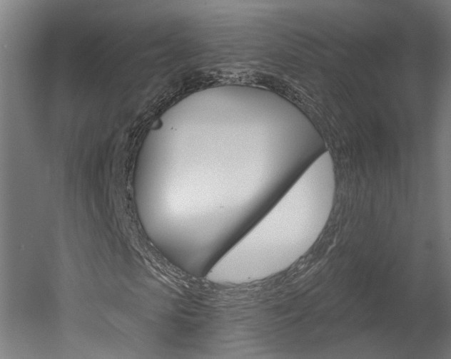 X0000052590913200507010935