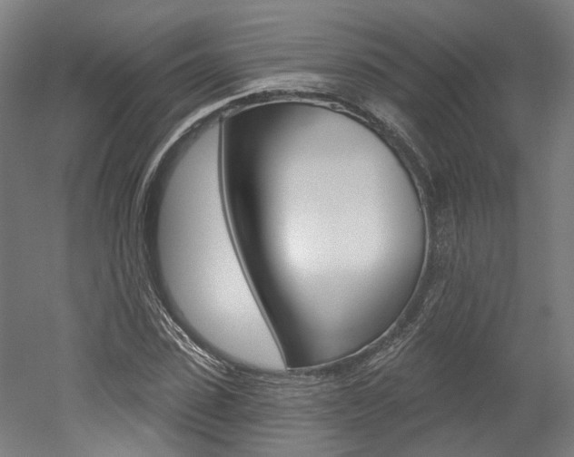 X0000052590923200507010935
