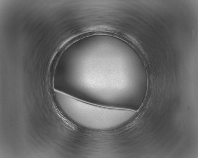 X0000052590931200507010936