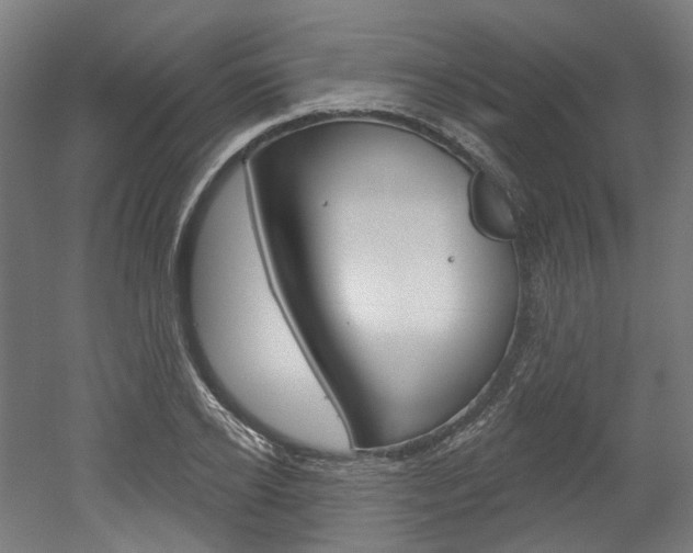 X0000052590934200507010936