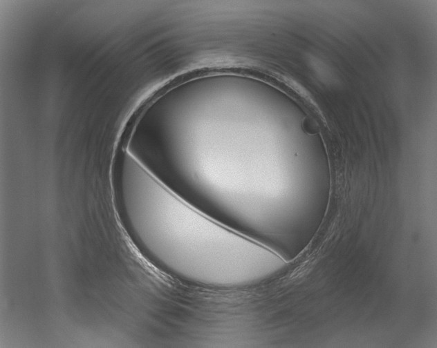 X0000052590935200507010936