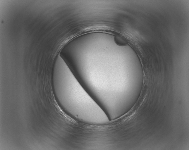 X0000052590937200507010936