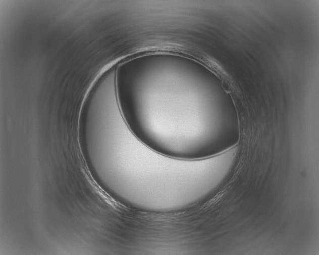 X0000052590940200507010936