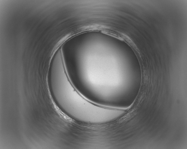X0000052590946200507010936