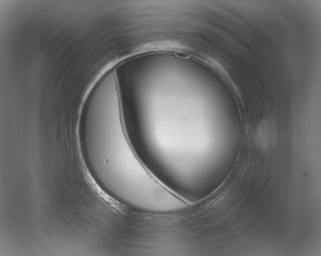 X0000052590947200507010936