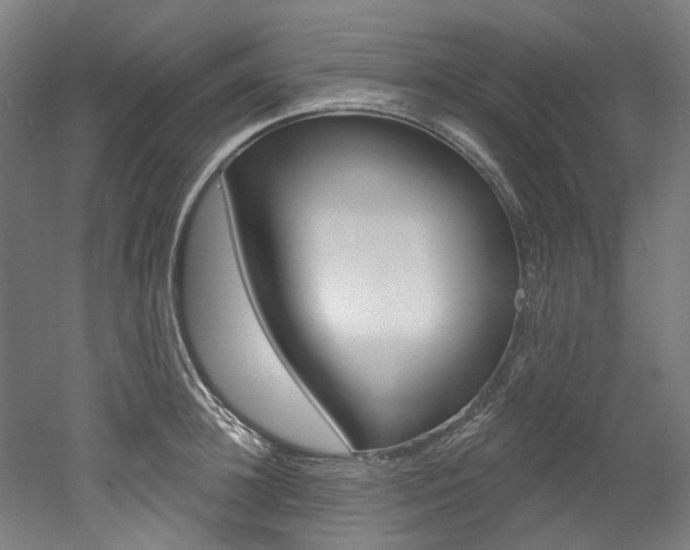 X0000052590948200507010936