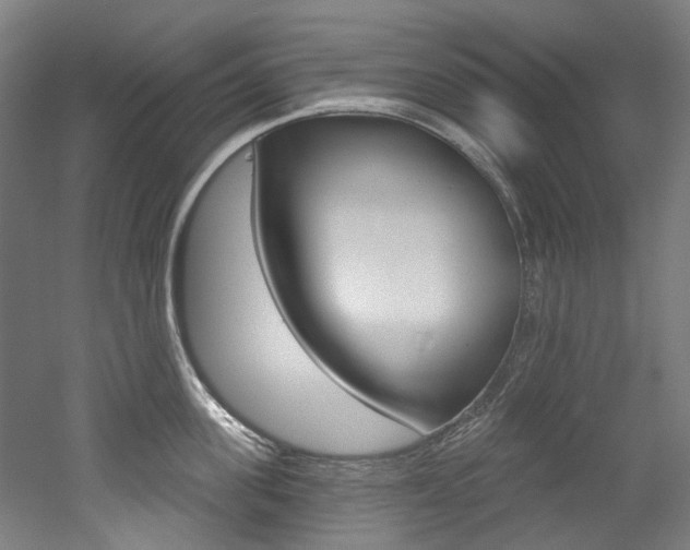 X0000052590955200507010936