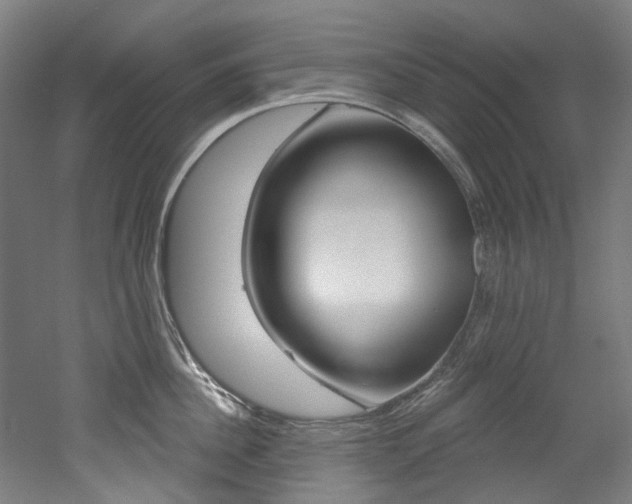 X0000052590956200507010936