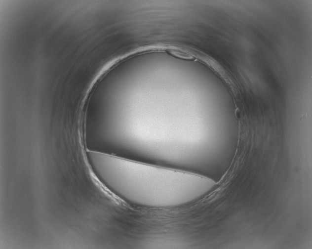 X0000052590958200507010936