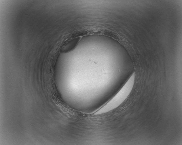 X0000052590961200507010935