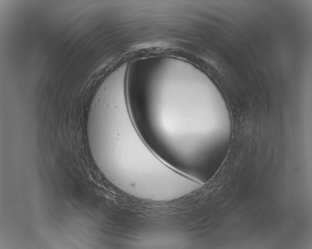 X0000052590967200507010935