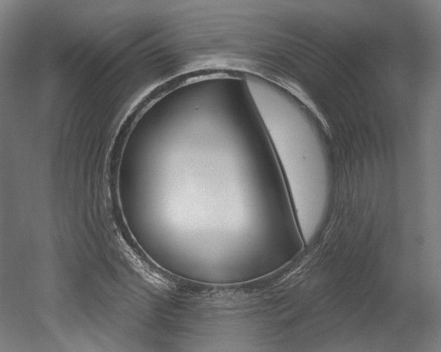 X0000052590972200507010935