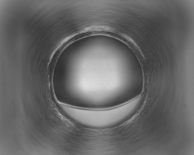 X0000052590973200507010935
