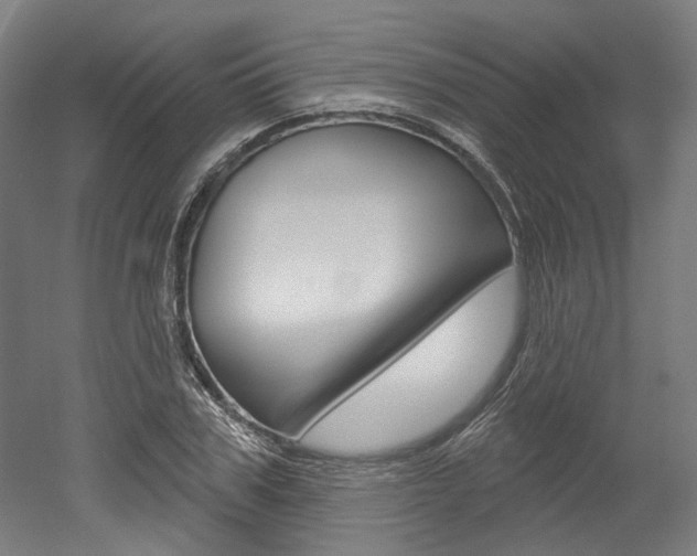 X0000052590979200507010935