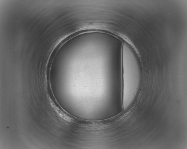 X0000052590980200507010935