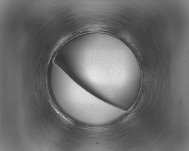 X0000052590986200507010935